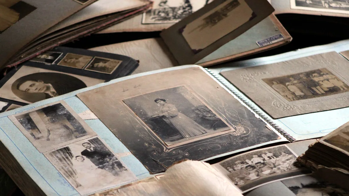 Everyday photographs of the kind Elements was sold to handle.